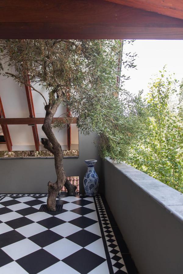Bella Blue Guesthouse Bloemfontein Exterior foto